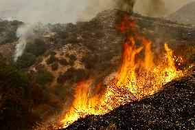 Line Fire Rages In San Bernardino County - California