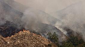 Line Fire Rages In San Bernardino County - California