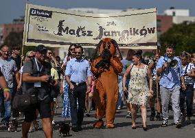 March Of The Dachshunds Draws Crowds To Krakow