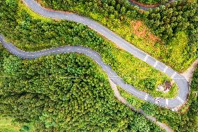 Winding Rural Road