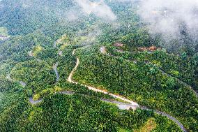 Winding Rural Road