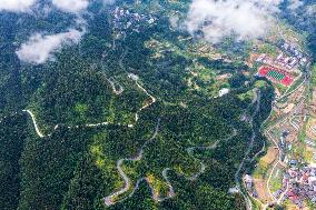 Winding Rural Road