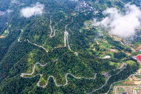 Winding Rural Road