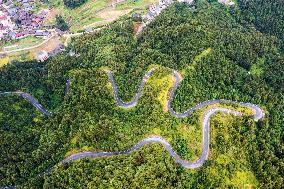 Winding Rural Road