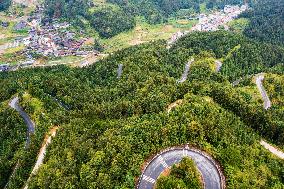 Winding Rural Road