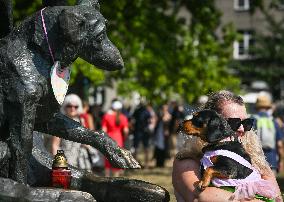 March Of The Dachshunds Draws Crowds To Krakow