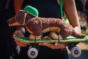 The Dachshund March In Krakow