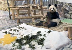 Giant panda at western Japan zoo