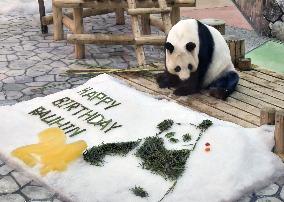 Giant panda at western Japan zoo