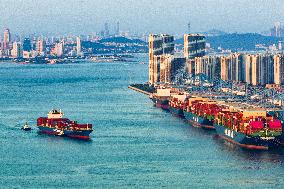 Qingdao Port Working Scene