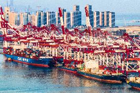 Qingdao Port Working Scene