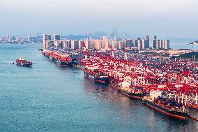 Qingdao Port Working Scene