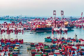 Qingdao Port Working Scene