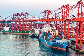 Qingdao Port Working Scene