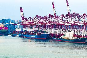 Qingdao Port Working Scene