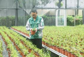 An Agricultural Garden in Hangzhou