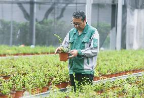 An Agricultural Garden in Hangzhou