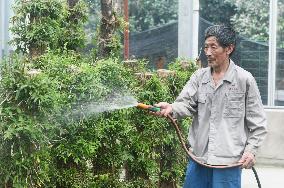 An Agricultural Garden in Hangzhou