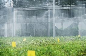 An Agricultural Garden in Hangzhou