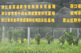 An Agricultural Garden in Hangzhou