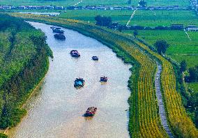 Subei Canal Cargo Ships