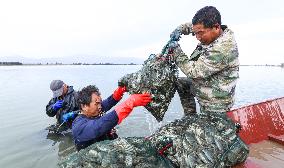 Hairy Crabs Harvest in Zhangye