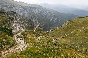 Exploring The Majestic Trails Of The Tatra Mountains