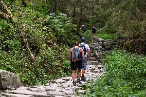 Exploring The Majestic Trails Of The Tatra Mountains