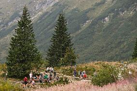 Exploring The Majestic Trails Of The Tatra Mountains