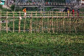 Daily Life In Dhaka