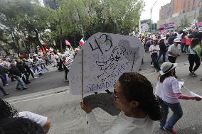 March For Mexican Democracy Against Judicial Reform