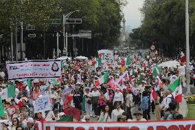 March For Mexican Democracy Against Judicial Reform