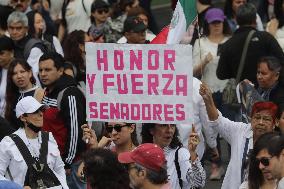 March For Mexican Democracy Against Judicial Reform