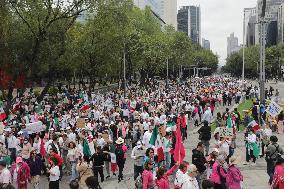 March For Mexican Democracy Against Judicial Reform