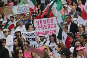 March For Mexican Democracy Against Judicial Reform