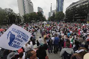 March For Mexican Democracy Against Judicial Reform