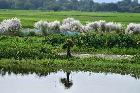 Daily Life In India