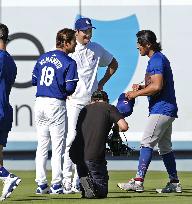 Baseball: Cubs vs. Dodgers