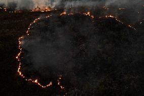 Wildfires Worsened By Extreme Heat - Brazil