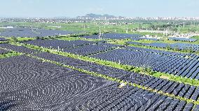 PV Energy Integrated With Traditional Agriculture