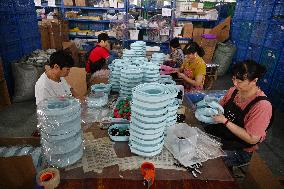 Pet Products Production in Suqian