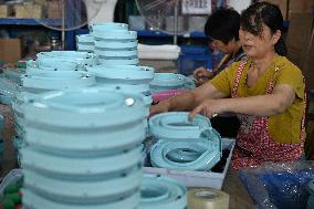 Pet Products Production in Suqian