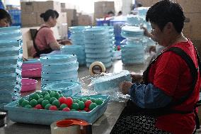 Pet Products Production in Suqian