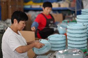 Pet Products Production in Suqian