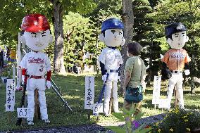 Scarecrow festival in northeastern Japan