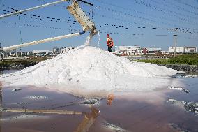 Raw Salt Harvest in Lianyungang