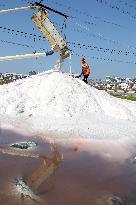 Raw Salt Harvest in Lianyungang