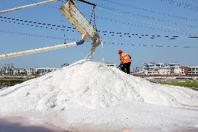 Raw Salt Harvest in Lianyungang