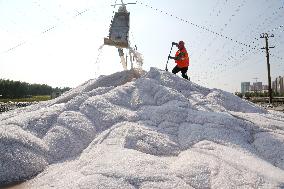 Raw Salt Harvest in Lianyungang