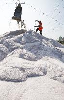 Raw Salt Harvest in Lianyungang